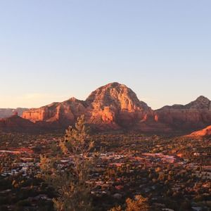 Meet your Posher, Tami